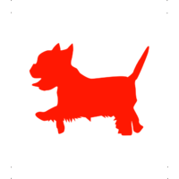  Yorki kutya autó matrica piros #175