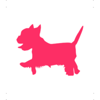  Yorki kutya autó matrica pink #173