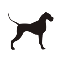 Német Dog kutya autó matrica fekete #191