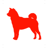 Akita kutya autó matrica piros #230