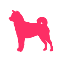  Akita kutya autó matrica pink #228