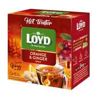 Loyd HOT WINTER piramis filteres tea narancs-gyömbér (PUNCS) ízű (15x3g)