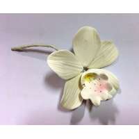  Orchidea kicsi - Fehér