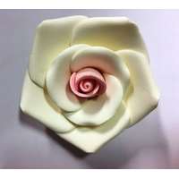  Rózsa XL 8cm - Fehér+Rózsaszín