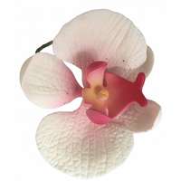  Orchidea - Fehér-pink