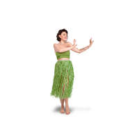 Raffia Skirt, Adult Size, Green