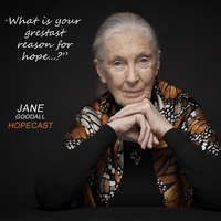  Dr. Jane Goodall Podcast