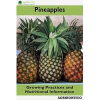Agrihortico Pineapple