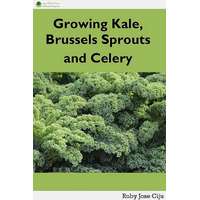 Agrihortico Growing Kale Leaves, Brussels Sprouts and Celery
