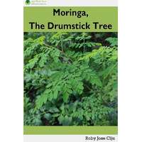 Agrihortico Moringa, the Drumstick Tree