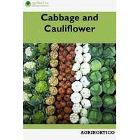 Agrihortico Cabbage and Cauliflower
