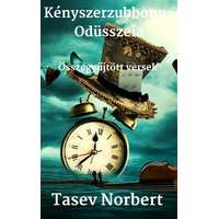 Norbert Tasev (magánkiadás) Kényszerzubbony-Odüsszeia