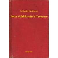 Booklassic Peter Goldthwaite's Treasure