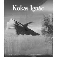 Kossuth Kokas Ignác