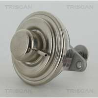 TRISCAN AGR-szelep 8813 24054