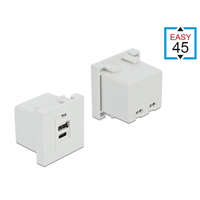 Delock Delock Easy 45 USB töltő port modul 1 x A-típusú és 1 x USB Type-C csatlakozó felülettel (81313)