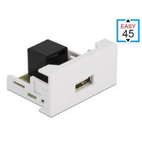 Delock Delock Easy 45 modul A-típusú 2.0 USB anya - RJ45 anya port 22,5 x 45 mm (81344)