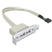 Delock Delock Slot konzol USB 2.0 low profile 2 port (83119)