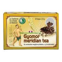 DR. CHEN Dr. Chen gyomor meridian filteres tea