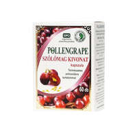 Dr. Chen PollenGrape kapszula (60 db)