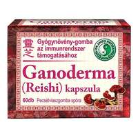 Dr. Chen Ganoderma / reishi kapszula (60 db)