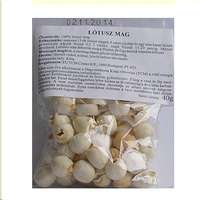Dr. Chen Lótusz mag (40 g)