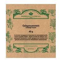  Herbária Galagonyatermés (40 g)