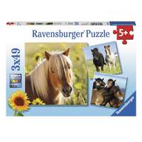 Puzzle 3x49 db - Szépséges lovak 08011