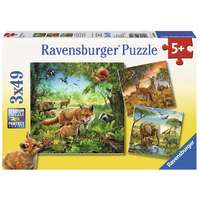 Puzzle 3x49 db - Az erdő lakói 09330