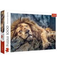 Trefl Trefl: Alvó oroszlán puzzle - 1000 darabos