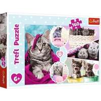 Trefl Trefl: Kedves cicák puzzle - 160 darabos