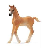 Schleich Schleich Horse Club: Arab csikó figura 13984