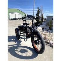Ztech ZTECH ZT-80 Mini trailer 48V13Ah 250W 20''- elektromos kerékpár - fekete