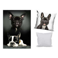 Kutyás Kutyás polár takaró, párnahuzat és párna szett 3 db-os (Bulldog Moments)