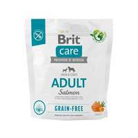 Brit Brit Care Grain-Free Adult Salmon & Potato 1 kg