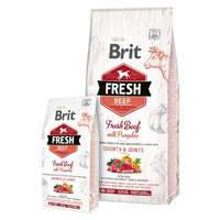 Brit Brit Fresh Beef with Pumpkin Puppy Large Bones & Joints - marha és sütőtök 2,5 kg