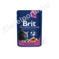 Brit Brit Premium Cat Salmon & Trout 24x100 g