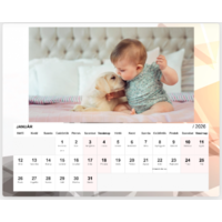 Fényképes naptár Asztali 20x16 - Puppy