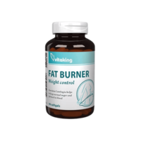 Vitaking Kft. Vitaking Fat Burner 90db