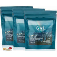 GAL SynergyTech GAL Multivitamin - 90 darabos utántöltő 90 lipofil+180 hidrofil+90 C-vitamin kap