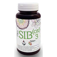 SIB(ox)3 Freyagena Balance Fito SIBO(X)3 30 kapszula