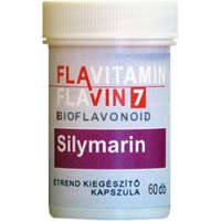 Flavin7 Flavitamin Sylimarin 60 db
