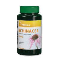 Vitaking Vitaking Echinacea 250mg Bíbor kasvirág (90) kapszula