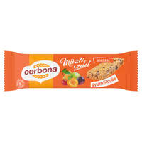 Cerbona müzli szelet gyümölcsös 20g/20/