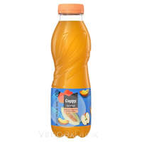 COCA Cappy Ice Őszi-Dinnye 0,5l PET-DRS