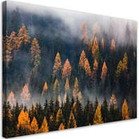 Vászonkép, Őszi fák - 60x40 cm