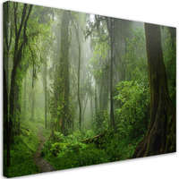  Vászonkép, Trópusi dzsungel erdő - 60x40 cm