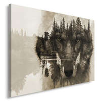  Vászonkép, Farkas erdő köd természet - 60x40 cm