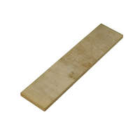 Eredeti Battioni Pagani Vákuumszivattyú lamella Battioni Pagani 180 x 41 x 6,5 mm