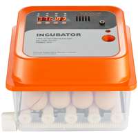  Keltetőgép, inkubátor – 12 tojás – automatikus forgatás